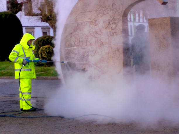 Best Pressure Washing Near Me  in Fort Sumner, NM